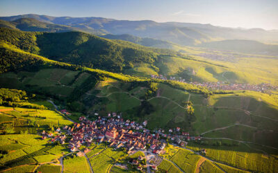 Alsace : Manifestation, surstock… Mais que se passe-t-il dans le vignoble ?